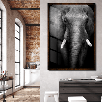 Quadro decorativo Elefante preto