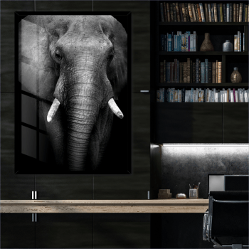 Quadro decorativo Elefante preto