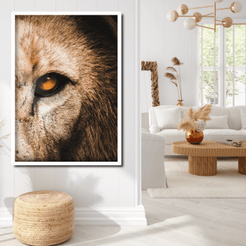 Quadros decorativos olhos do Leão