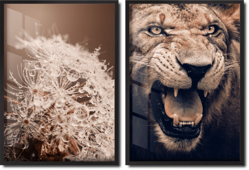 Quadros decorativos dente de leão