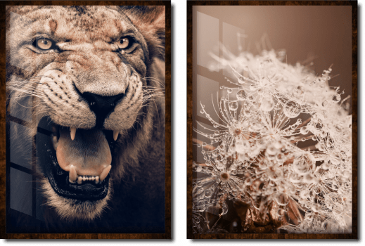 Quadros decorativos dente de leão