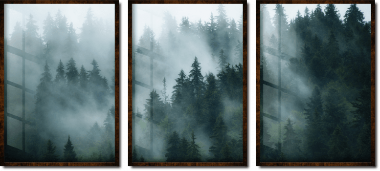 Quadro decorativo paisagem nevoa na floresta