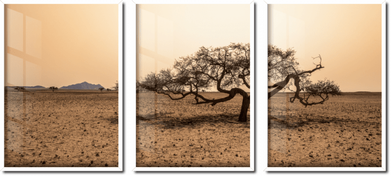 Quadro decorativo paisagem árvore no deserto