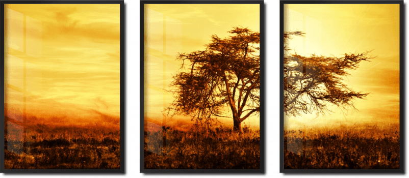 Quadro decorativo paisagem árvore por do sol
