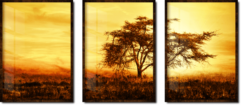 Quadro decorativo paisagem árvore por do sol