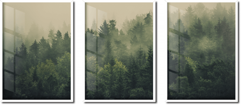 Quadro decorativo árvores e neblina