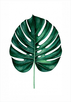 Quadro decorativo folha verde 1