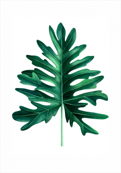 Quadro decorativo folha verde 2