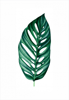 Quadro decorativo folha verde 3